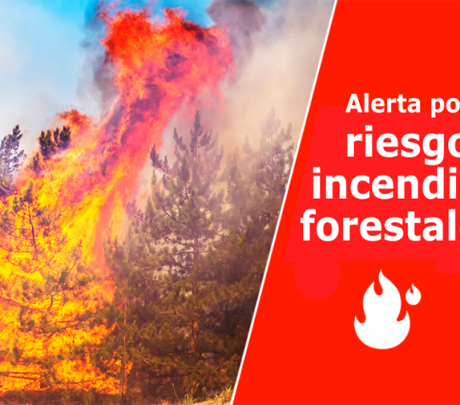 ES-Alert-test op Gran Canaria: grote bosbrandoefening in Moya op 29 april